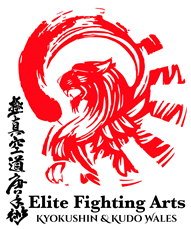 Elite Fighting Arts